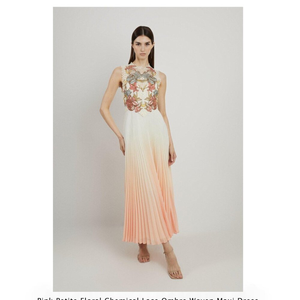 NWT - Petite Floral Chemical Lace Ombre Woven Maxi Dress